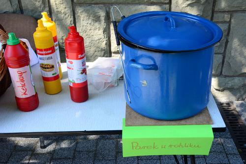 2021 06 20 - Skoczow - Piknik - 08